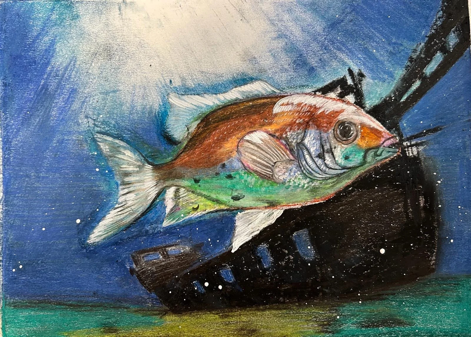 2024 - Fish Art 1st Place | Discover Top Fish Art — Art of